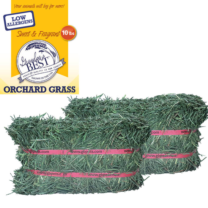 Grandpas Best Orchard Grass Bale Color Green