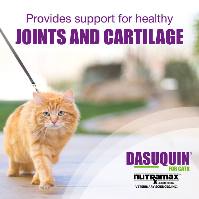 Nutramax Dasuquin Joint Health Supplement for Cats - Jeffers - Animal Health & Wellness > Vitamins & Supplements