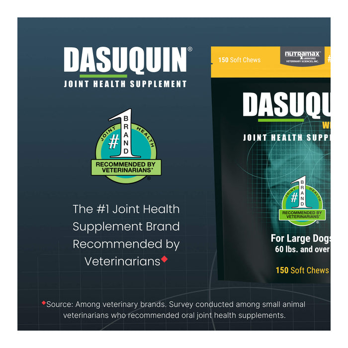 Nutramax Dasuquin for Dogs, Joint Health Supplement, Glucosamine, Chondroitin, ASU, MSM and More, Supports Healthy Joints, Soft Chews