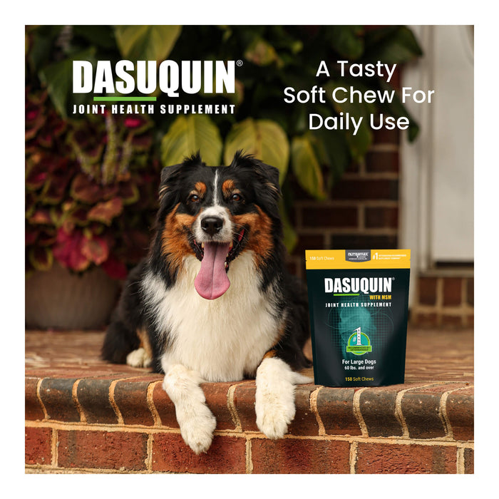 Nutramax Dasuquin for Dogs, Joint Health Supplement, Glucosamine, Chondroitin, ASU, MSM and More, Supports Healthy Joints, Soft Chews