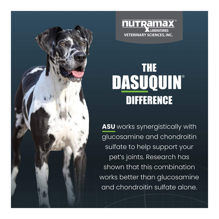 Nutramax Dasuquin for Dogs, Joint Health Supplement, Glucosamine, Chondroitin, ASU, MSM and More, Supports Healthy Joints, Soft Chews