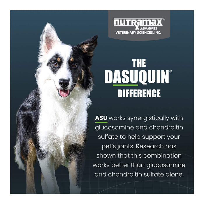 Nutramax Dasuquin for Dogs, Joint Health Supplement, Contains Glucosamine, Plus Chondroitin, ASU, MSM and More, Supports Healthy Joints, Chewable Tablets