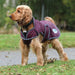 WeatherBeeta ComFITec Windbreaker Free Deluxe Dog Coat, Maroon/Gray/White - 32 in  