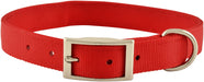 1' Nylon Dog Collar, 22'L - Jeffers - Dog Supplies > Dog Apparel > Dog Collars, Harnesses, & Leashes