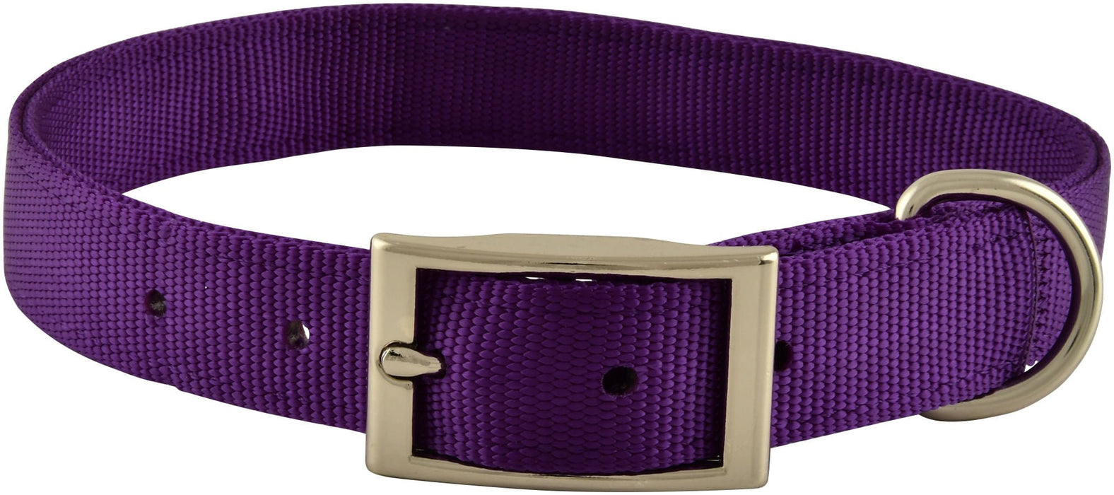 1' Nylon Dog Collar, 22'L - Jeffers - Dog Supplies > Dog Apparel > Dog Collars, Harnesses, & Leashes