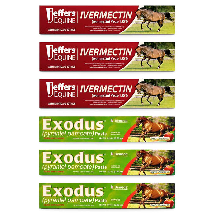 1 - Year Horse Deworming Kit - Jeffers - Animal Health & Wellness > Medicine