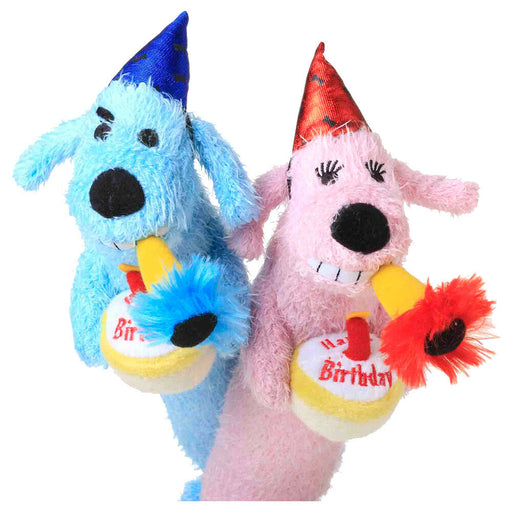 DUPLICATE Multipet Loofa Birthday  Dog Toy  Assorted Colors  12' - MultiAssorted