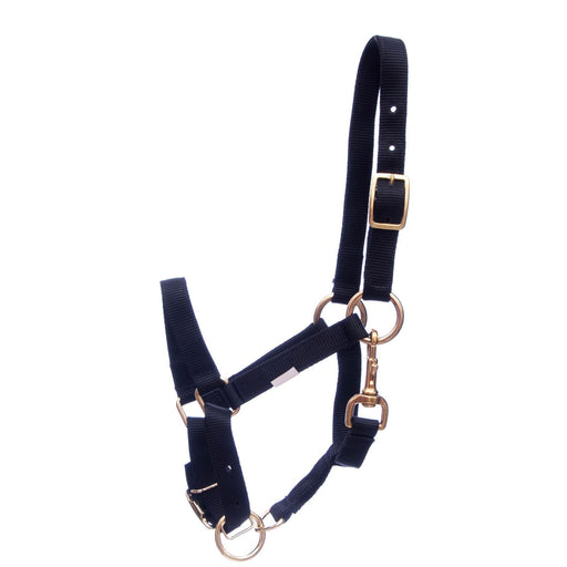 3/4' Adjustable Nylon Miniature Halter - Jeffers - Horse Supplies > Horse Tack > Horse Halters