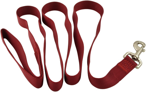 5/8' Nylon Dog Leash, 4' L - Jeffers - Dog Supplies > Dog Apparel > Dog Collars, Harnesses, & Leashes