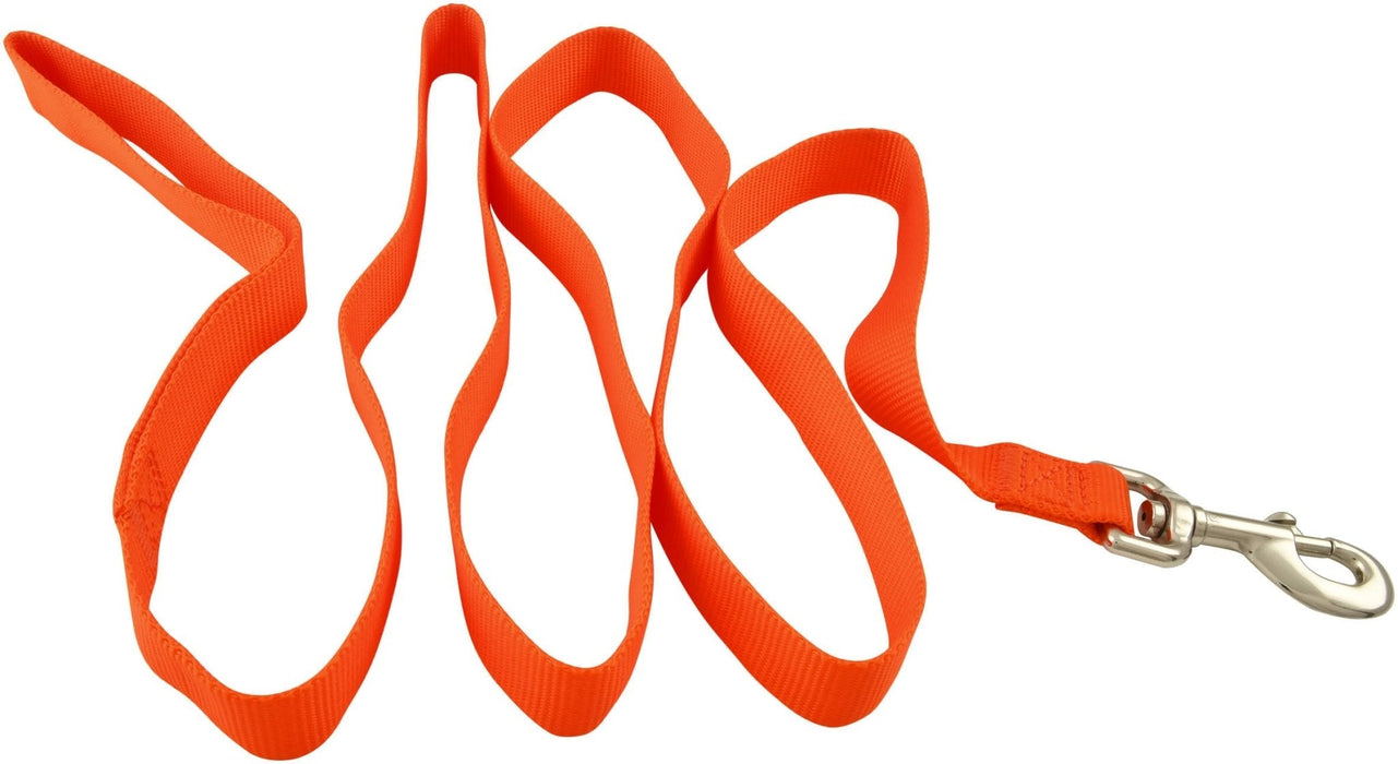 5/8' Nylon Dog Leash, 4' L - Jeffers - Dog Supplies > Dog Apparel > Dog Collars, Harnesses, & Leashes