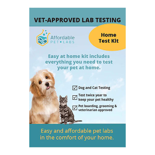 Affordable Pet Labs Combo Complete Urinalysis & Fecal Test For Cats Easy Home Kit  