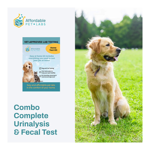 Affordable Pet Labs Combo Complete Urinalysis & Fecal Test For Dogs Easy Home Kit  