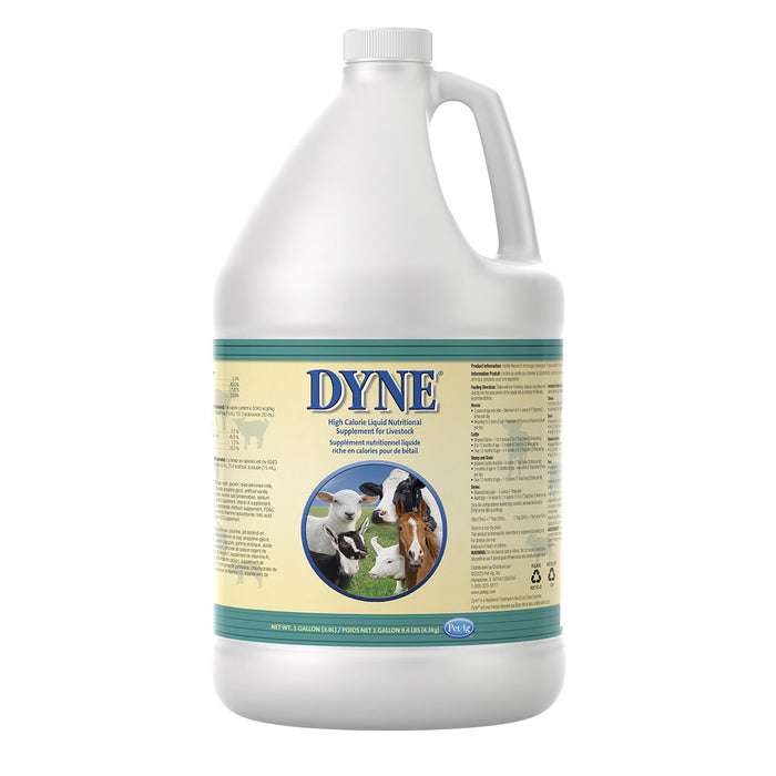 Dyne High Calorie Liquid for Livestock