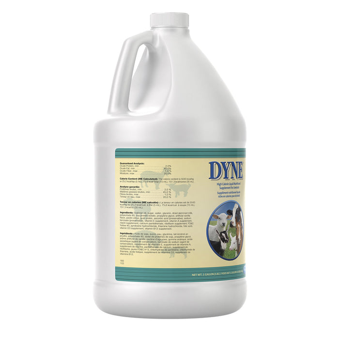 Dyne High Calorie Liquid for Livestock