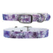 C4 Waterproof Dog Collar - Amethyst XLarge 