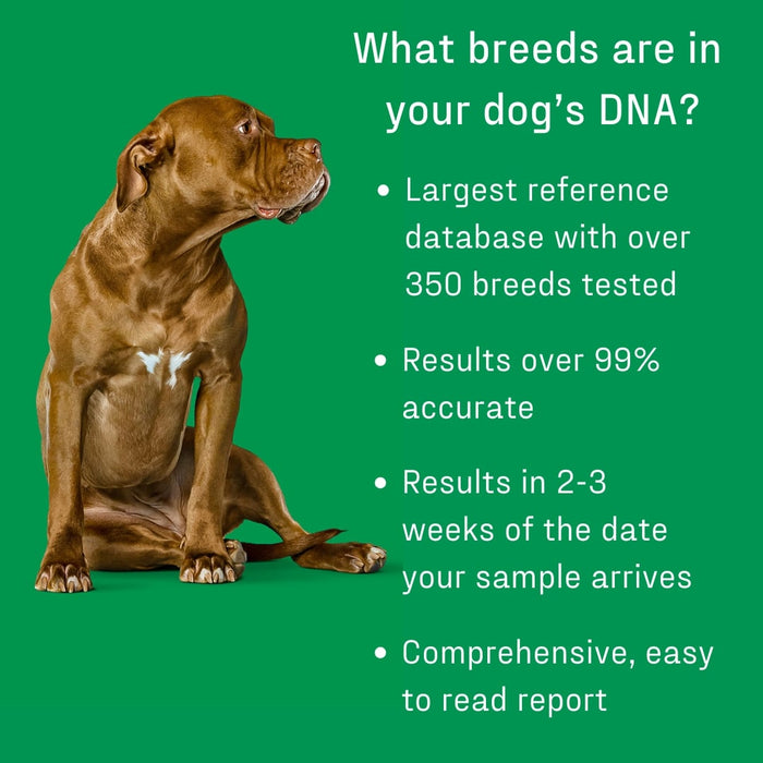 DNA My Dog Essential Breed ID Test Color Green