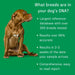 DNA My Dog Essential Breed ID Test Color Green