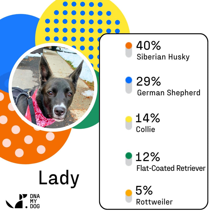 DNA My Dog Essential Breed ID Test Color Green