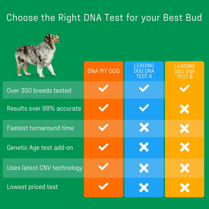 DNA My Dog Essential Breed ID Test Color Green