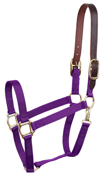 Economy Nylon Safety Horse Halter - Purple Horse 