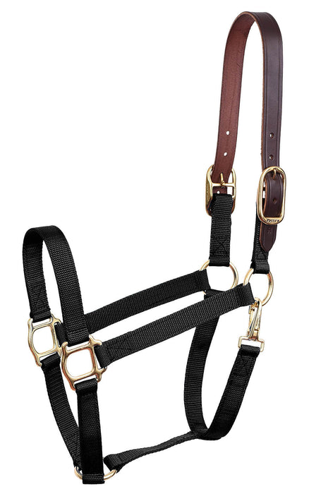 Economy Nylon Safety Horse Halter - Black Cob 