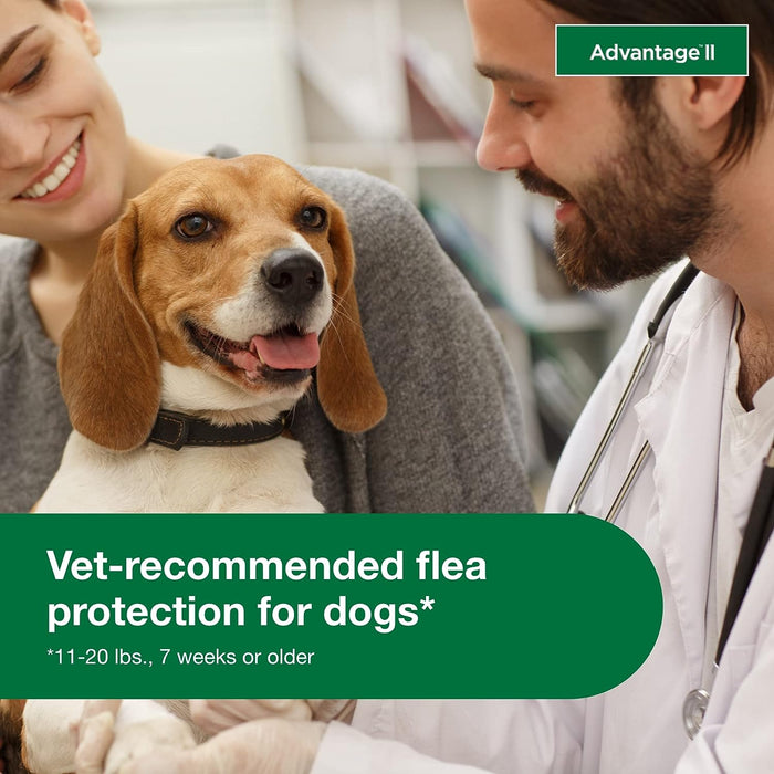 Advantage II for Dogs - Jeffers - Animal Health & Wellness > Flea & Tick Control