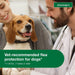 Advantage II for Dogs - Jeffers - Animal Health & Wellness > Flea & Tick Control