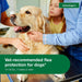 Advantage II for Dogs - Jeffers - Animal Health & Wellness > Flea & Tick Control