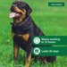 Advantage II for Dogs - Jeffers - Animal Health & Wellness > Flea & Tick Control