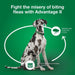 Advantage II for Dogs - Jeffers - Animal Health & Wellness > Flea & Tick Control