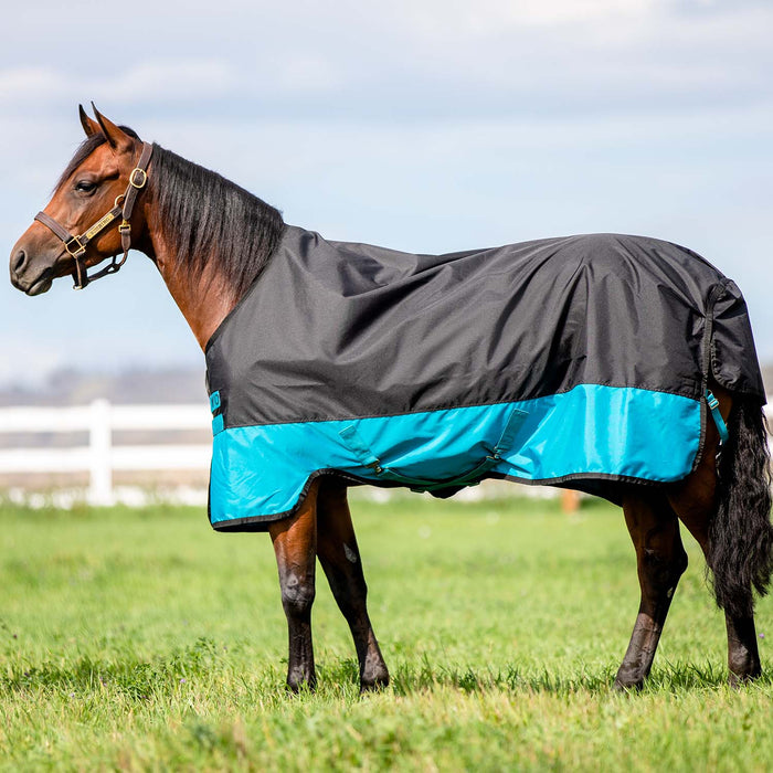 Amigo Mio Turnout, Medium Weight Color Black/Turquoise