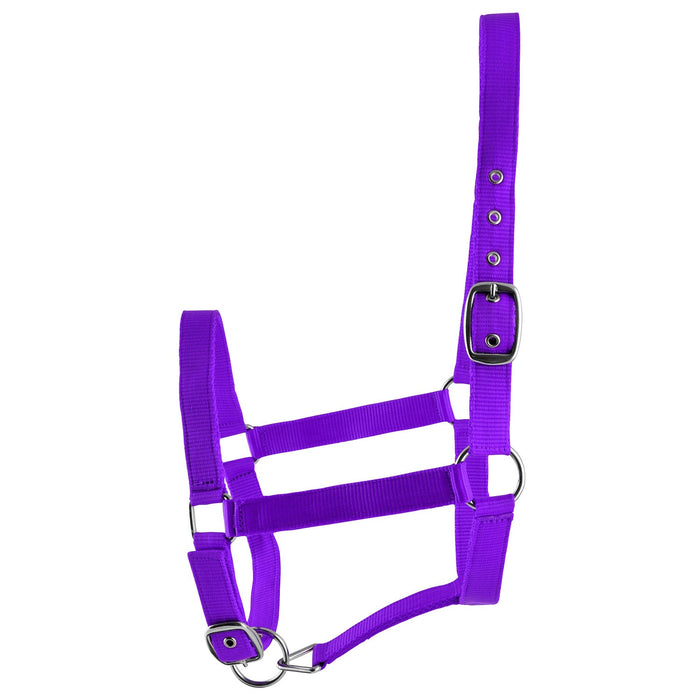 Jeffers Adjustable Nylon Full Size Horse Halter