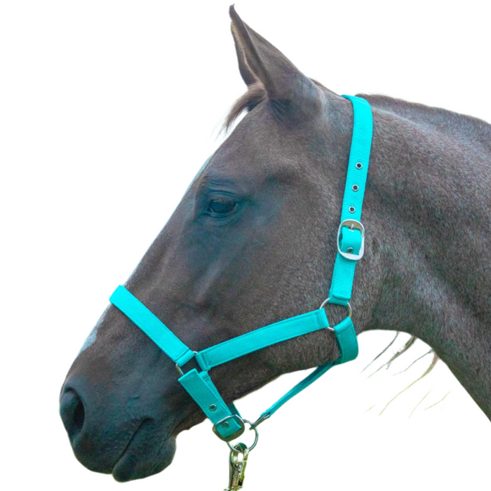 Jeffers Adjustable Nylon Full Size Horse Halter