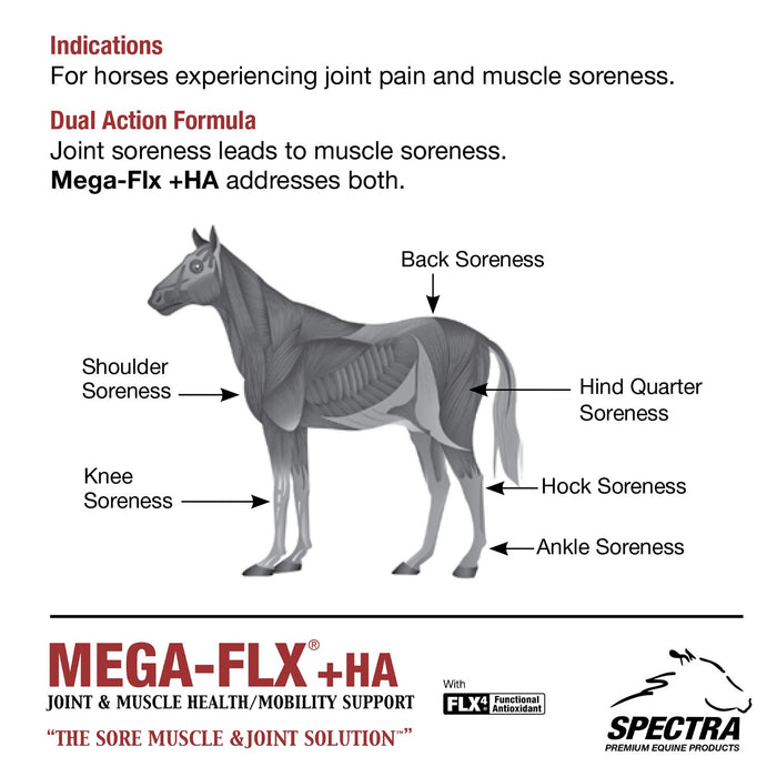 Mega-Flx +HA Equine Joint & Muscle Supplement