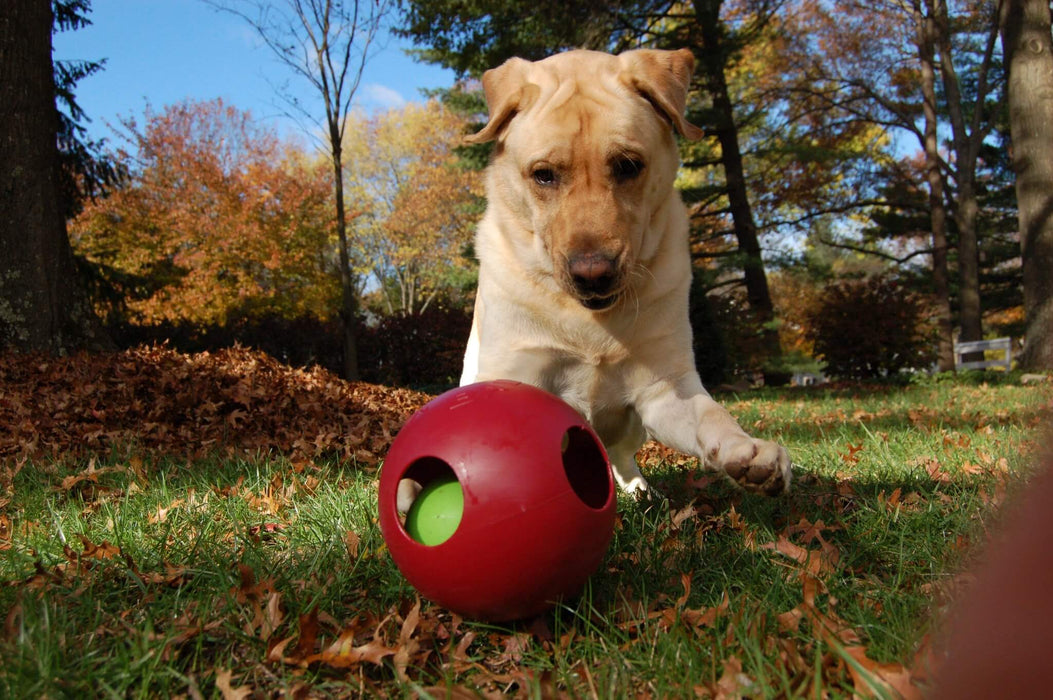 Ball-in-a-Ball Teaser Ball Dog Toy, 4.5"