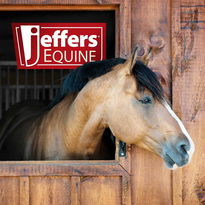 Jeffers Brightening Blue Whitening Shampoo for Horses