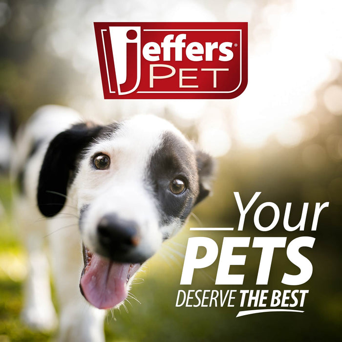 Jeffers Captivating Citrus Shampoo for Dogs and Cats