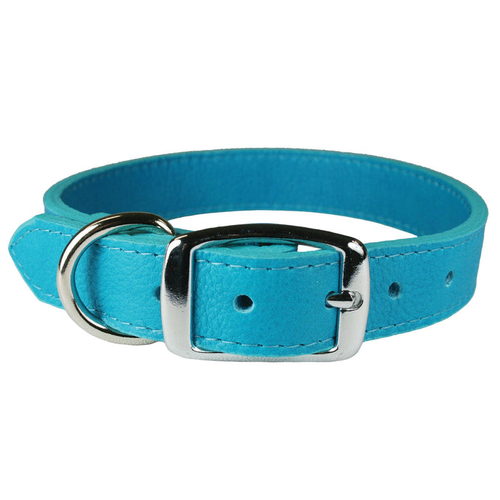 Luxe Leather Dog Collars, 22'-26' - Turquoise 22 in 