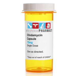 Clindamycin Capsules for Dogs - Rx Clindamycin, 75mg x 1 Capsule  