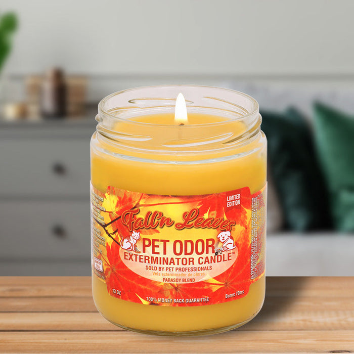 Pet Odor Exterminator Candle, Fall N Leaves, 13 oz