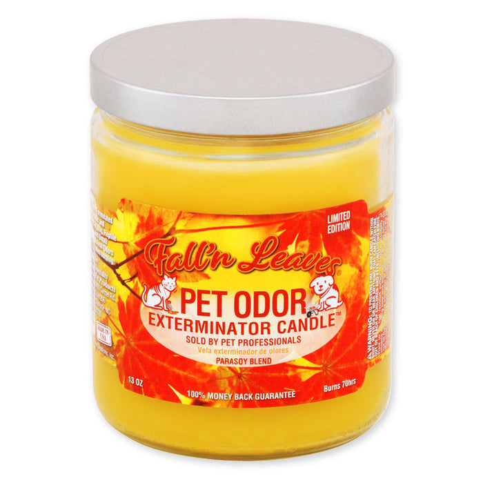 Pet Odor Exterminator Candle, Fall N Leaves, 13 oz