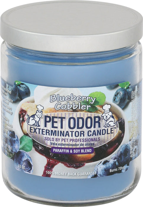 Pet Odor Exterminator Candle, Blueberry Cobbler, 13 oz Color Blue