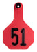 Y-Tex Numbered Cattle Ear Tag ID, Medium - Red 151-175 