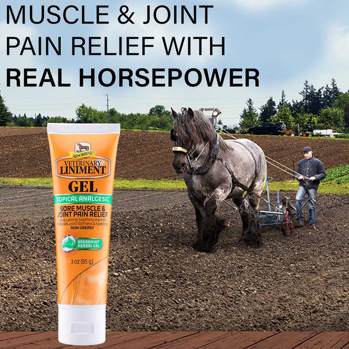 Absorbine Veterinary Liniment Gel - Jeffers - Horse Supplies > Horse Supplies