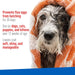 Adams Flea & Tick Cleansing Shampoo - Jeffers - Animal Health & Wellness > Flea & Tick Control