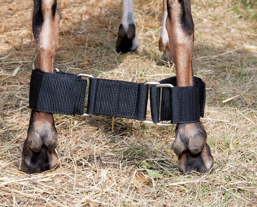 Adjustable Nylon Goat Hobble - Jeffers - Animal Health & Wellness > Breeding Supplies