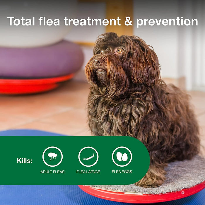 Advantage II for Dogs - Jeffers - Animal Health & Wellness > Flea & Tick Control