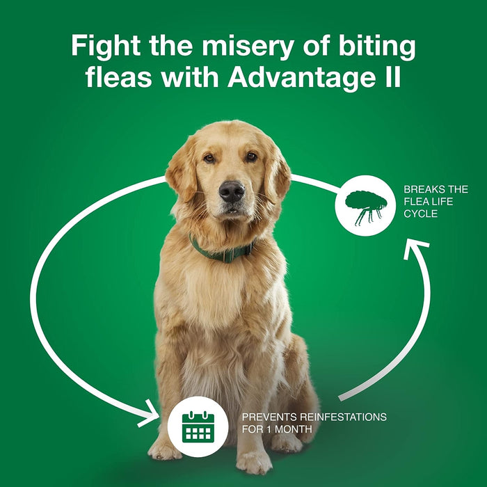 Advantage II for Dogs - Jeffers - Animal Health & Wellness > Flea & Tick Control