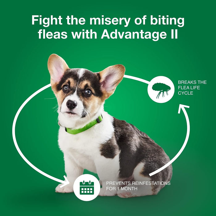 Advantage II for Dogs - Jeffers - Animal Health & Wellness > Flea & Tick Control