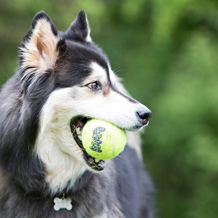 Air KONG Squeaker Tennis Balls, Each - Jeffers - Dog Supplies > Dog Toys